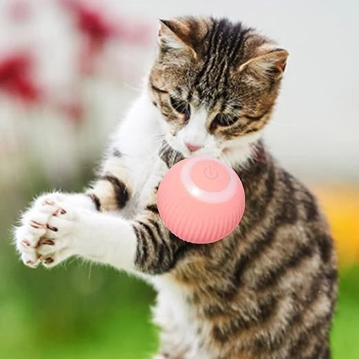 InteractBall Digital - Chega de Gatos entediados dentro de casa! + Brinde
