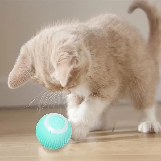 InteractBall Digital - Chega de Gatos entediados dentro de casa! + Brinde