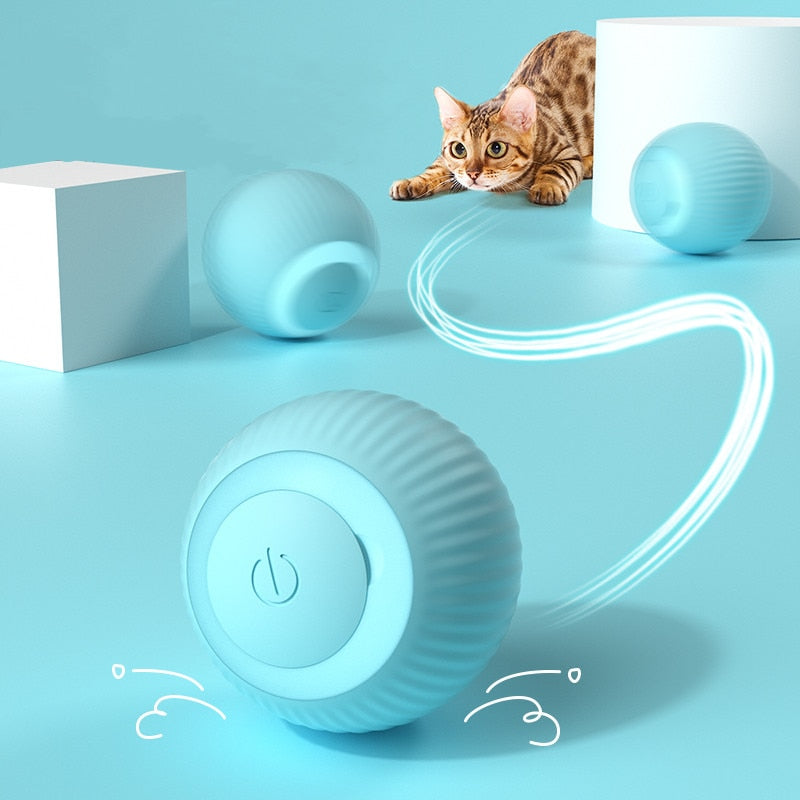 InteractBall Digital - Chega de Gatos entediados dentro de casa! + Brinde